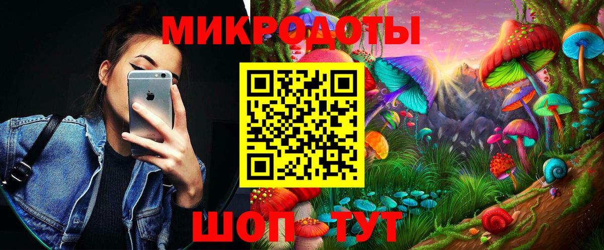 Псилоцибиновые грибы Psilocybe Вышний Волочёк